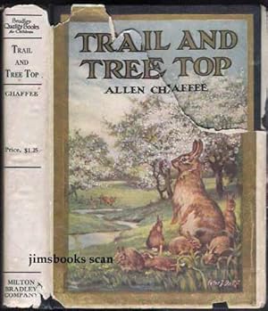 Trail And Tree Top