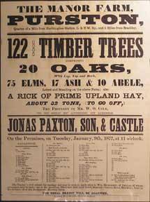 122 Good Timber Trees, comprising 20 Oaks, 75 Elms, 17 Ash & 10 Abele. The Manor Farm, Purston [o...