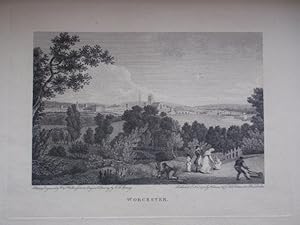 Original Antique Engraving Illustrating Worcester in Worcestershire.