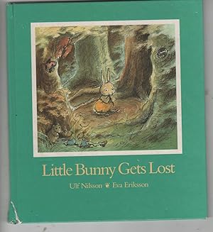 Little Bunny Gets Lost