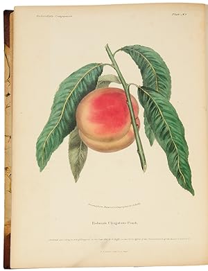 The Orchardist's Companion a quarterly journal, devoted to the history, character, properties, mo...