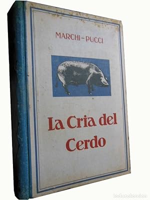 LA CRIA DEL CERDO