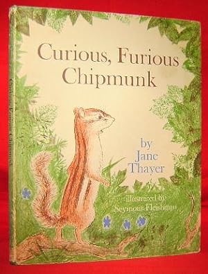 Curious, Furious Chipmunk