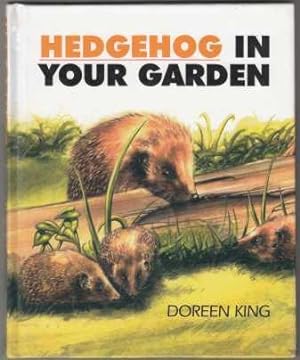 Hedgehog in Your Garden