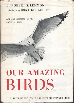 Our Amazing Birds