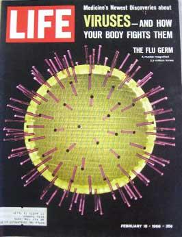 Life Magazine February 18, 1966 -- Cover: Viruses