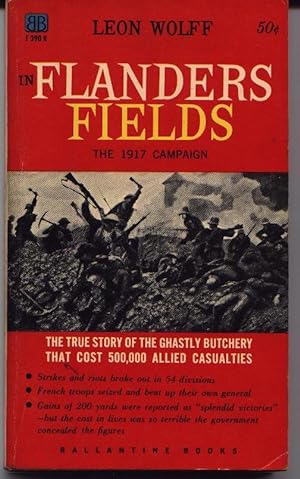 In Flanders Fields - The 1917 Campaign