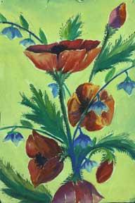 Poppies.