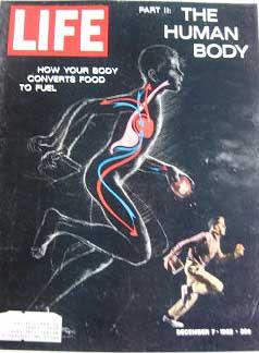 Life Magazine December 7, 1962 -- Cover: The Human Body