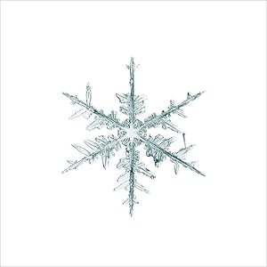 alleverythingthatisyou sno8_231 (SIGNED by Mike + Doug Starn: Limited Ed. print)