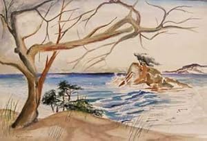Windswept Scrub of a Rugged Coast in Northern California.