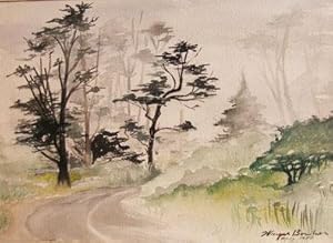 Trees on the Road to Half Moon Bay. San Mateo County.