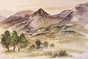 Spring Time Mountains of Northern California.