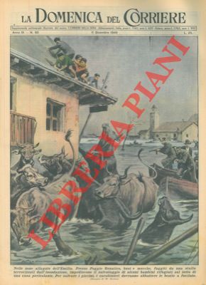 Uccisione di buoi e mucche, durante l'inondazione a Poggio Renatico, che impedivano il salvataggi...