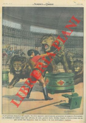 Nella gabbia dei leoni il più giovane domatore di 12 anni affronta quattro belve.