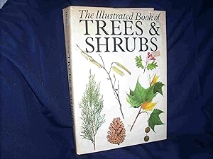 The Illustrated Book of Trees & Shrubs