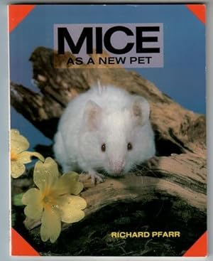 Mice as a new pet