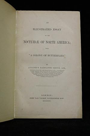 An illustrated essay on the noctuidae North american, with "a colony of butterflies"