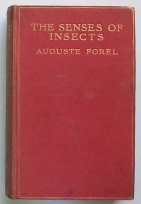 The senses of insects.