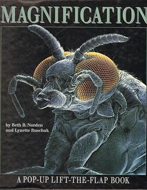Magnification