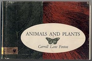 ANIMALS AND PLANTS