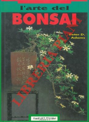 L'arte del bonsai.