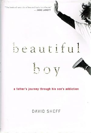 Beautiful Boy; A Father's Journey Through His Son's Addiction