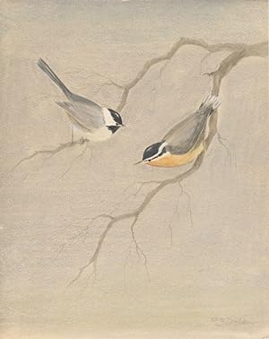 Signed Watercolor of Two Birds on Branches