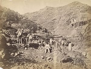 Photograph of Two Men in Foothills with Three Camels and a Horse