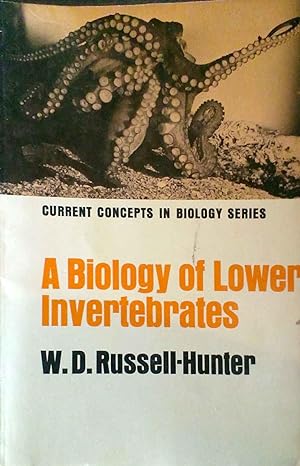 A Biology of Lower Invertebrates
