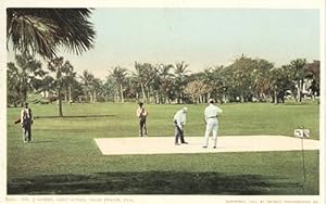 No. 3 Green, Golf Links, Palm Beach, Florida (Postcard)