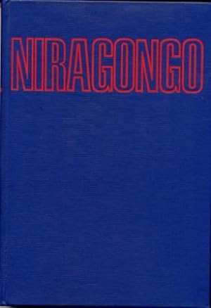 Niragongo ou le volcan interdit