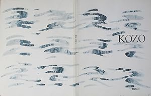 Kozo : lavis wash drawings
