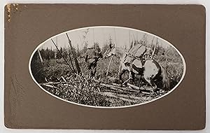 Indian Horse in Muskeg. Photograph by Mathers, Edmonton. Mounted on Embossed Studio Card.