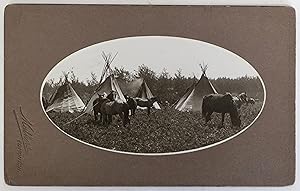 Indian Horses & Teepees. Photograph by Mathers, Edmonton. Mounted on Embossed Studio Card.