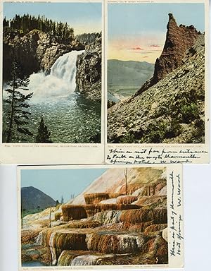 Five Souvenir Postcards from Yellowstone National Park, Wyoming