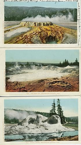 Seven Souvenir Postcards from Yellowstone National Park, Wyoming