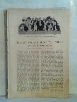 The Color Of Life At Trouville