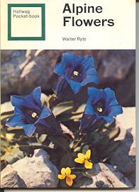 Alpine Flowers