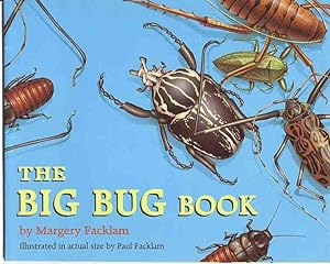 The Big Bug Book