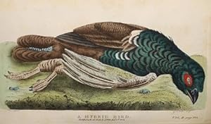 The Works, in Natural History, of the Late Rev. Gilbert White, A. M. Comprising The Natural Histo...
