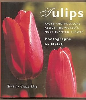 Tulips Facts and Folklore About the World's Most Planted Flower
