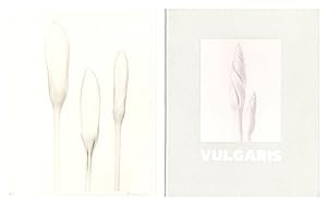 Ron van Dongen: Vulgaris, Special Limited Edition (with Gelatin Silver Print, "Crocus 'Jeanne D'A...