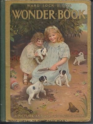 Ward, Lock & Co's Wonder Book, a Picture Annual for Boys and girls : 1920