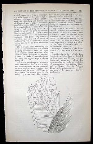 "On a hitherto undescribed structure in the human hair sheath." In London Medical Gazette, Vol. 36