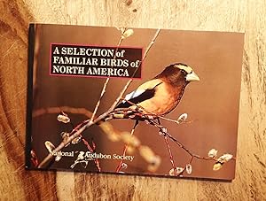 A SELECTION OF FAMILIAR BIRDS OF NORTH AMERICA