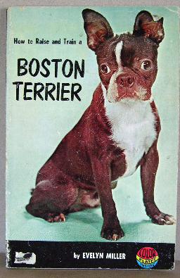 HOW TO RAISE AND TRAIN A BOSTON TERRIER