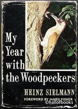 My Year with the Woodpeckers