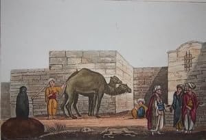 A Selection of Views in Egypt, Palestine, Rhodes, Italy, Minorca, and Gibraltar, From the Origina...