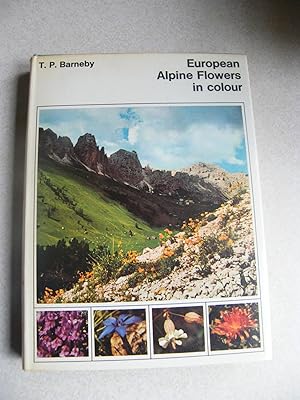 European Alpine Flowers In Colour